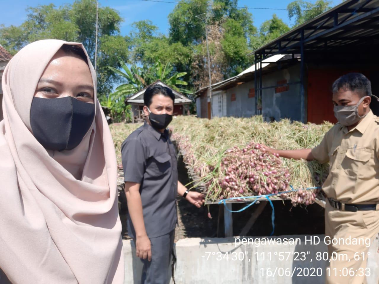 Pengawasan Survei HD 2020 di Kecamatan Gondang