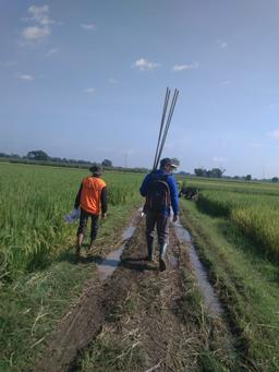 Pengawasan Ubinan di Desa Kedungombo, Tanjunganom