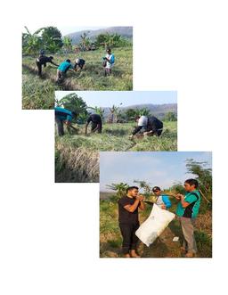 Supervision of Red Onion Bonding in Sugihwaras Village, Ngluyu