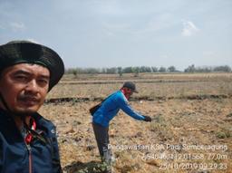 Supervision of Rice KSA in Sumberagung Village, Gondang