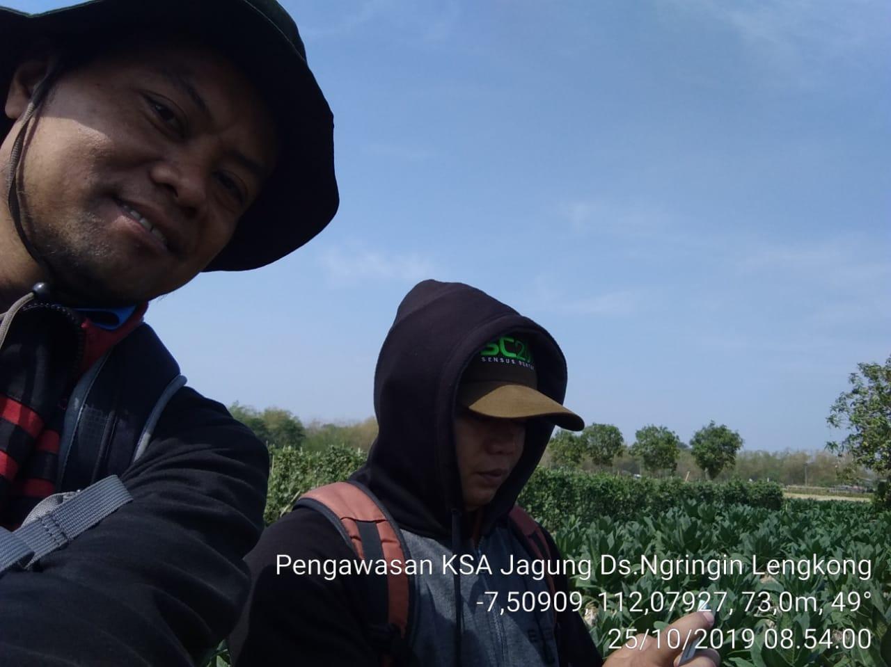 Pengawasan KSA Jagung di Desa Ngringin, Lengkong