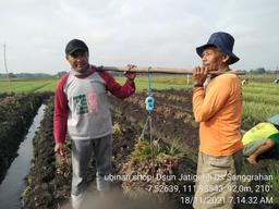 Shallot Tiles SHOPI 2021 Survey in Sanggrahan Village, Gondang