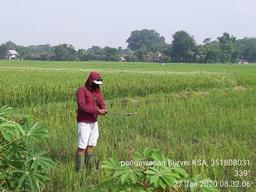 Supervision of KSA in Tanjungkalang Village, Ngronggot