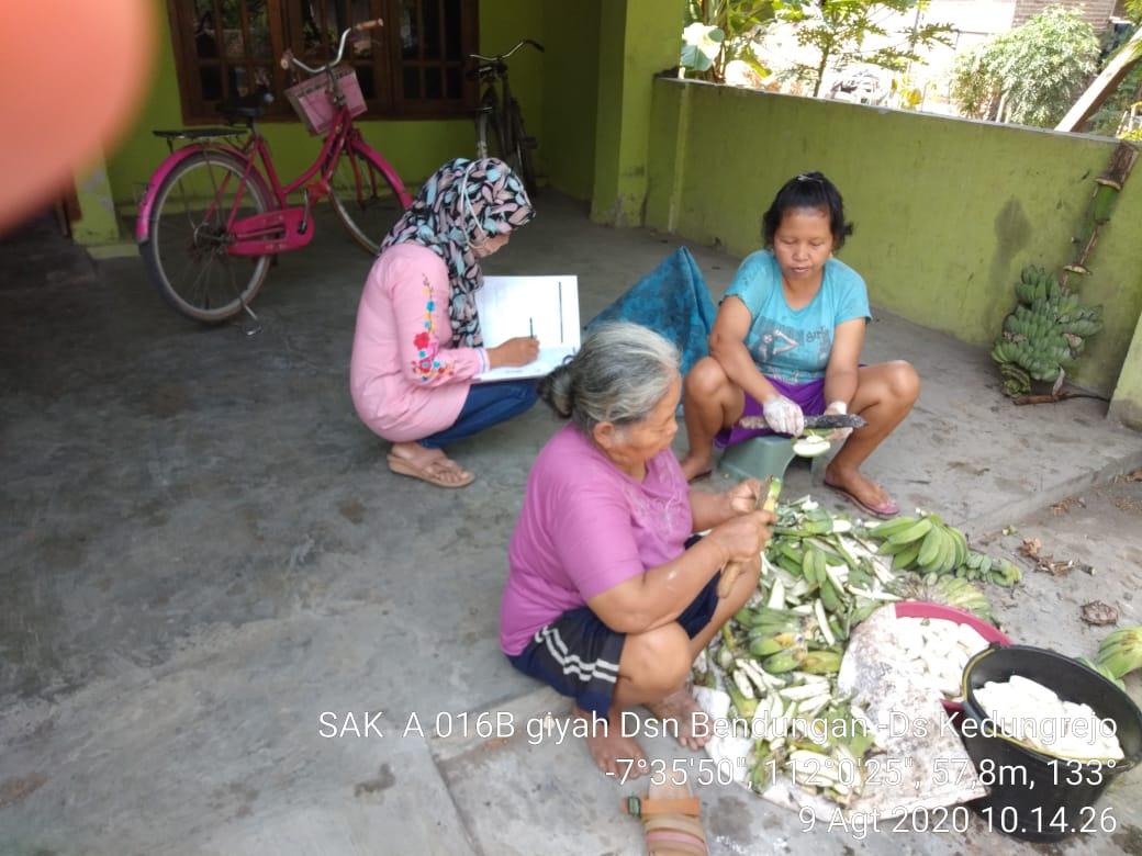 August 2020 Sakernas Census in Kedungrejo Village, Tanjunganom