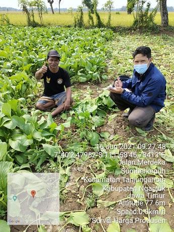 Producer Price Survey 2021 in Sumberkepuh Village, Tanjunganom