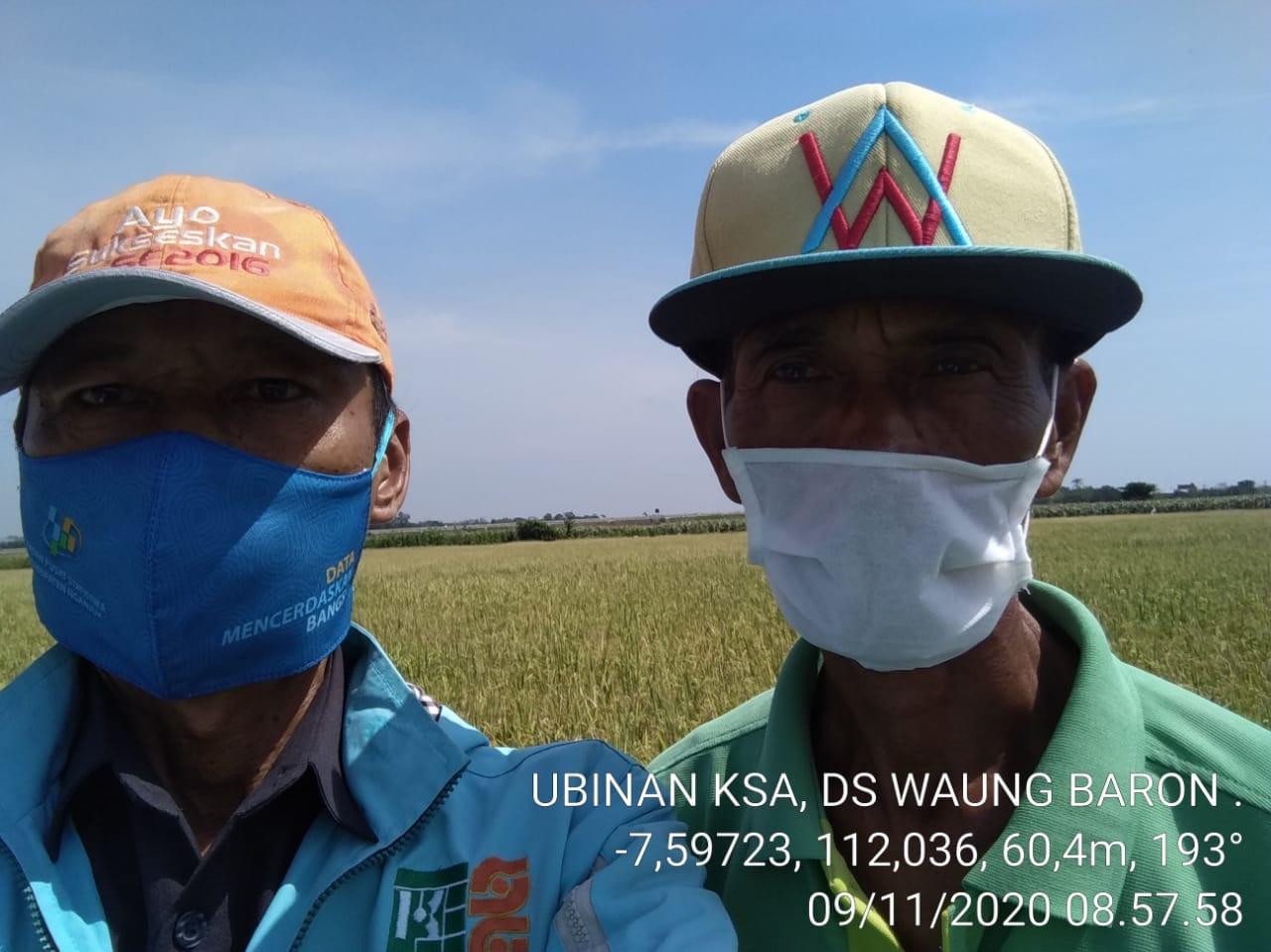 Ubinan KSA 2020 di Desa Waung, Baron