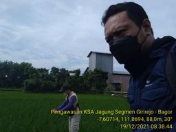 Pengawasan KSA Jagung 2021 di Desa Girirejo, Bagor