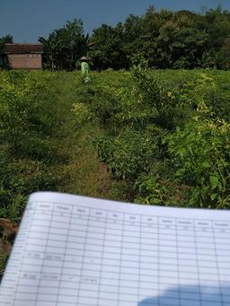 Rural Price Survey (HD-2) Senjayan Village