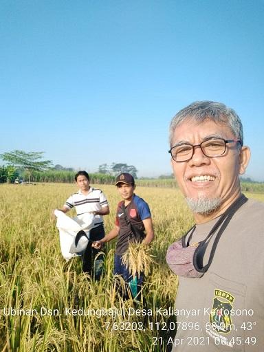 Survey of Rice Tiles in Kalianyar Village, Kertosono