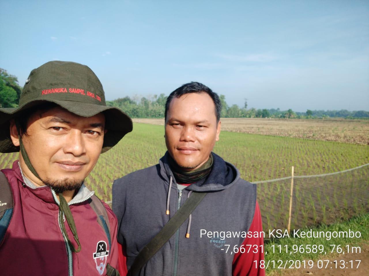 Pengawasan KSA di Desa Kedungombo, Tanjunganom