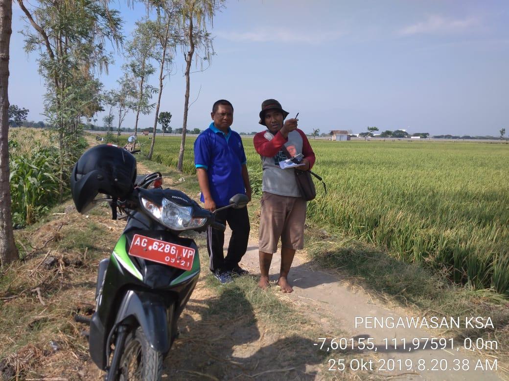 Supervision of Corn KSA in Kedungsuko Village, Sukomoro