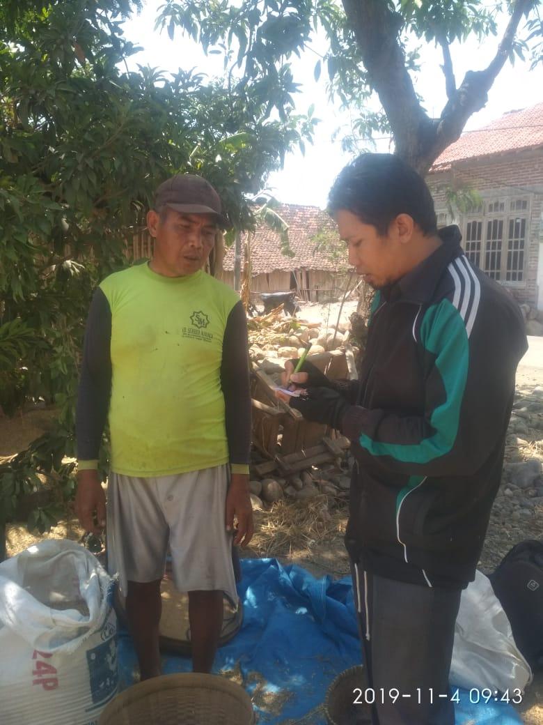 Grain Producer Price Survey (HPG) in Bulu Village, Berbek