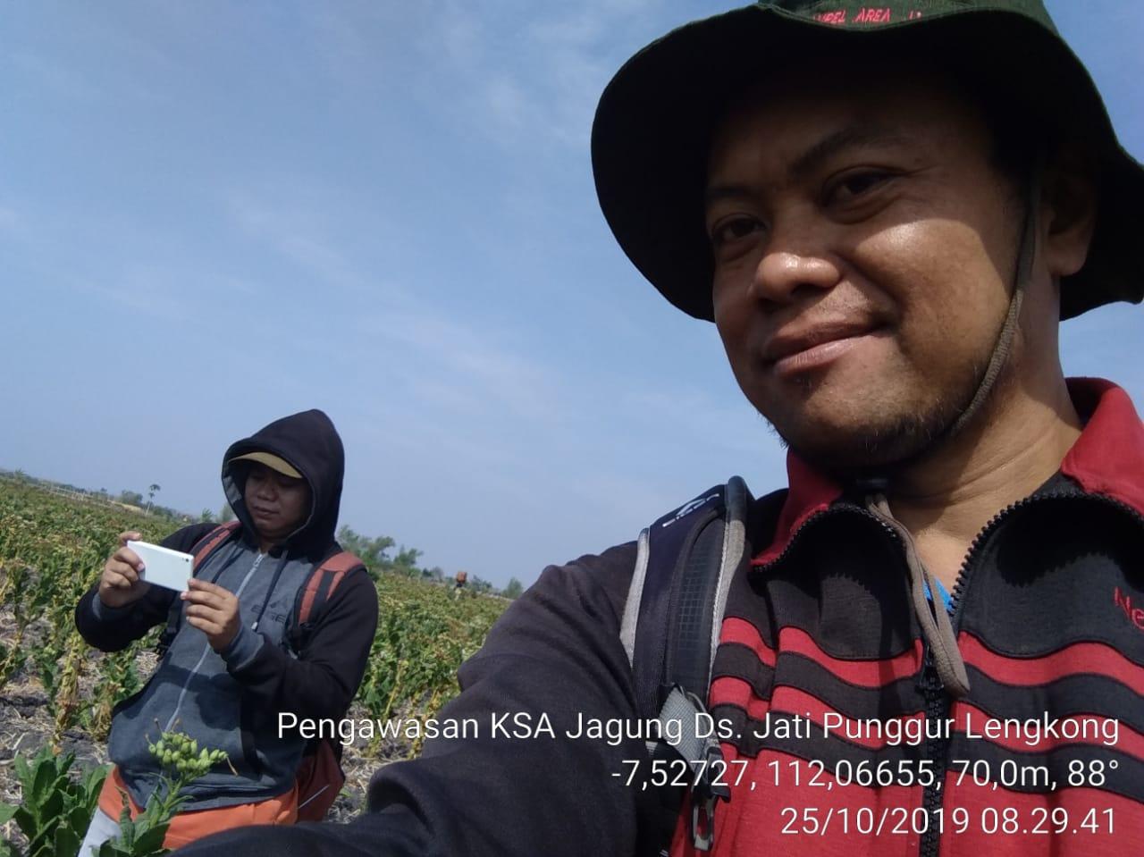 Supervision of Corn KSA in Jati Punggur Village, Lengkong