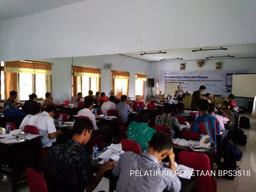 Pelatihan Pemetaan dan Pemutakhiran Wilkerstat 2020