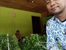 Enumeration of Rural Price of Horticultural Plants in Rejoso District